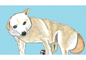 利用者さんに描いていただいたデブちゃんそっくりの似顔絵です!